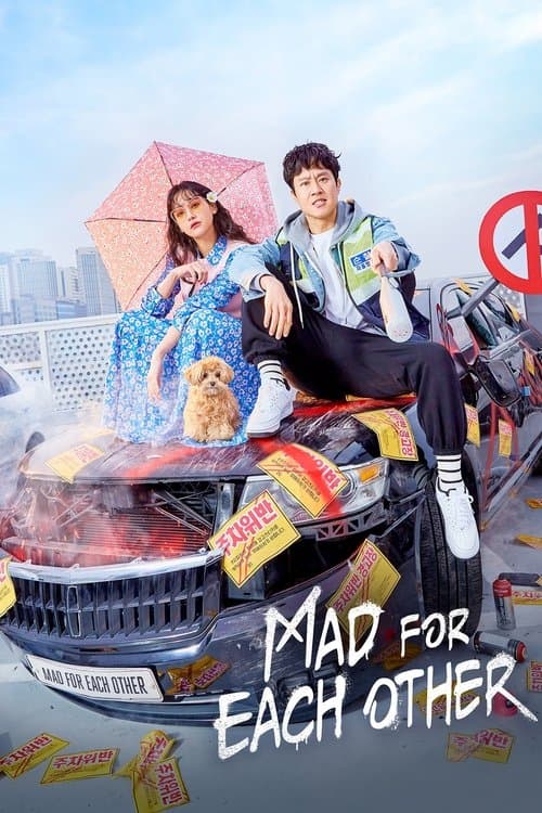 พบรักไว้พักใจ (Mad For Each Other)